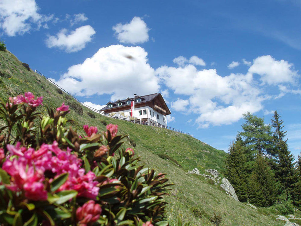 Hotel Fliesserhof Eksteriør billede